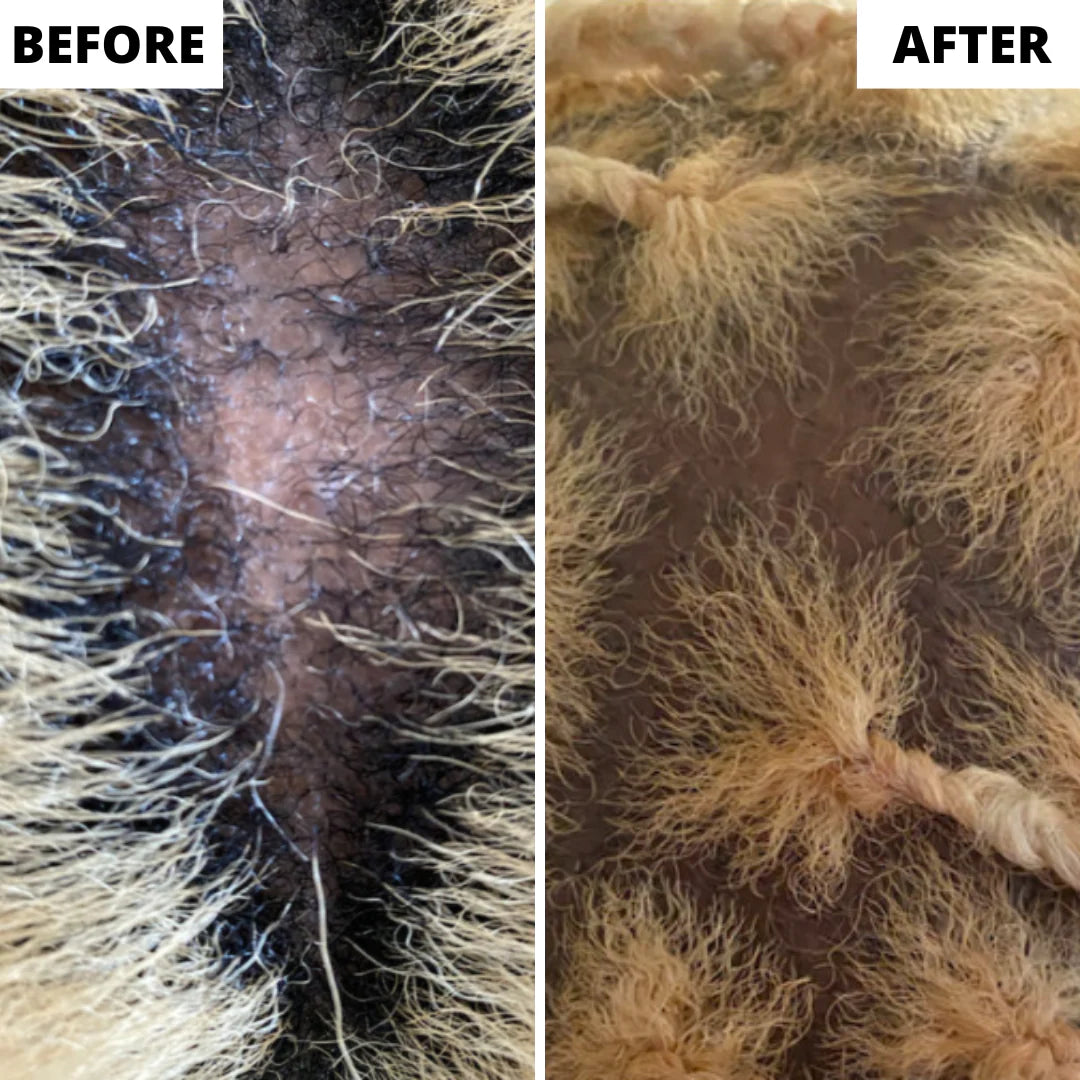 RejuvaHair | Hair Growth Serum